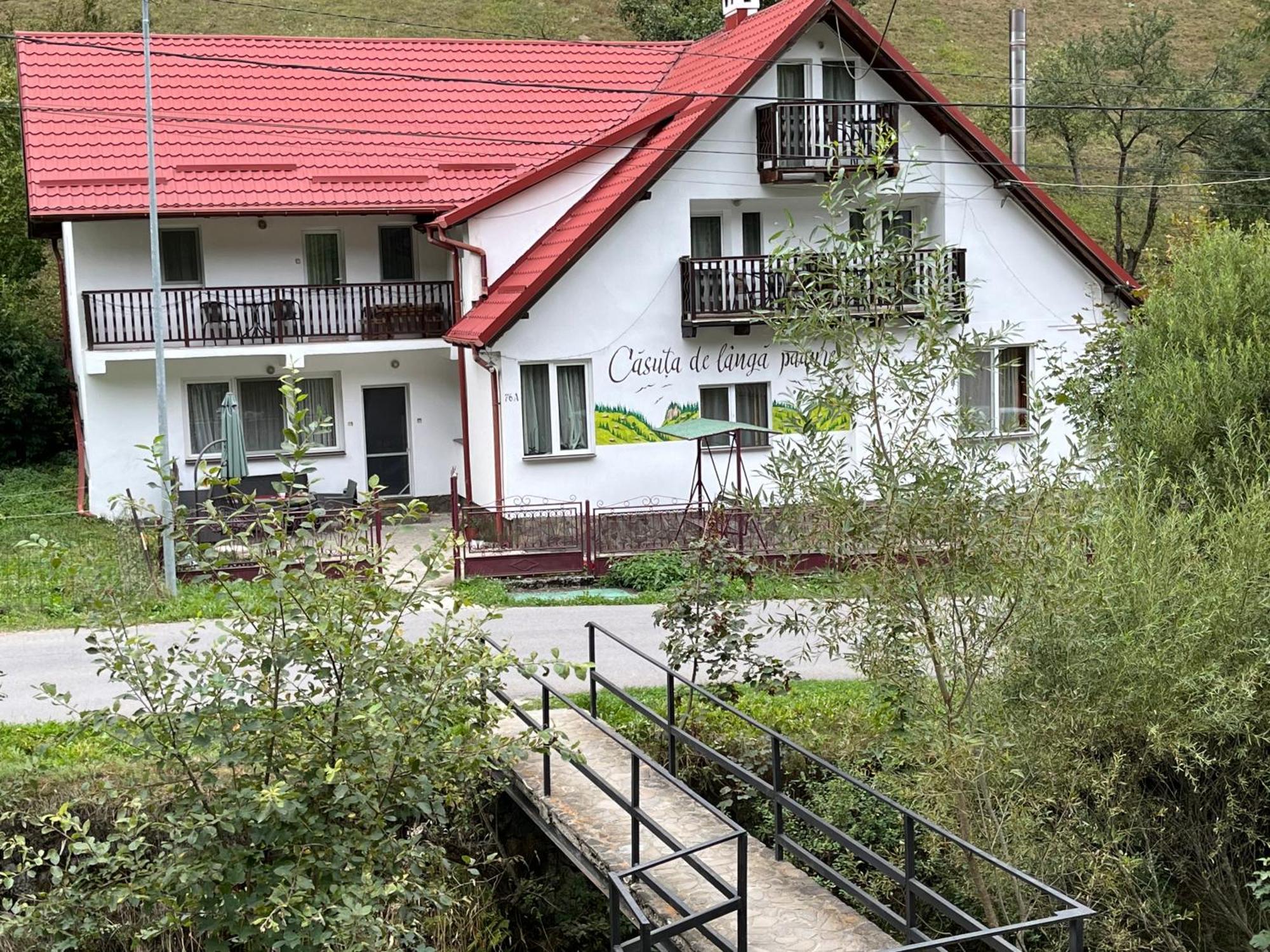 Готель Casuta De Langa Padure Моєчу-де-Сус Екстер'єр фото